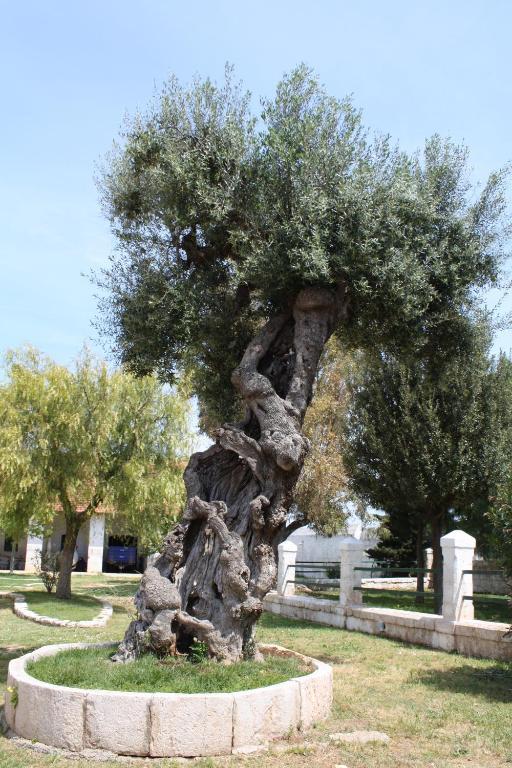 Masseria Maccarone Fasano Exterior photo